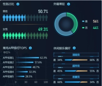 京東數(shù)科開發(fā)區(qū)商業(yè)街客流洞察大屏UI設(shè)計（保密）